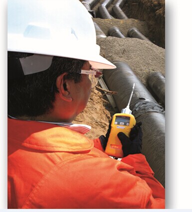 美國華瑞VRAE 五合一氣體檢測儀PGM7800 7840